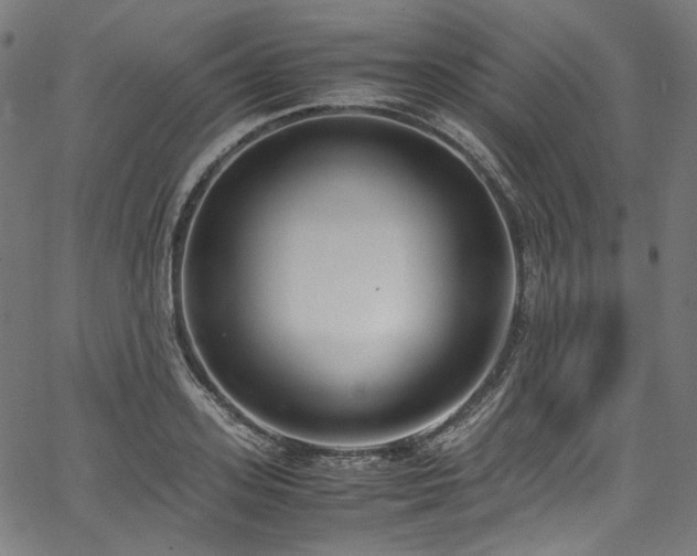 X0000067400939200603311320