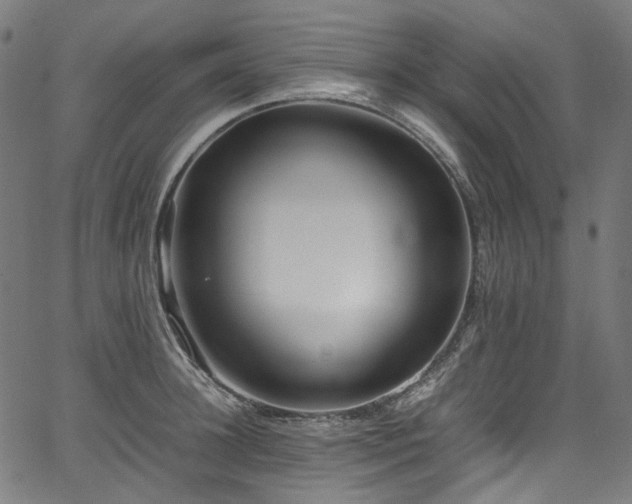 X0000067400948200603311320