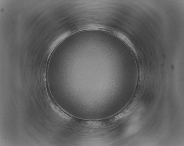 X0000067400954200603311321