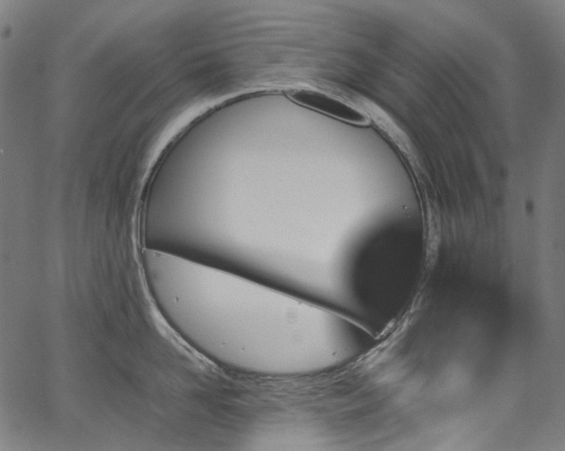 X0000067400958200603311321
