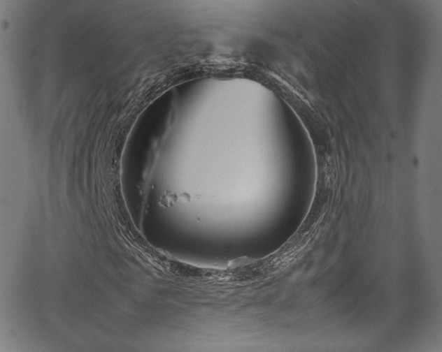 X0000067400961200603311320