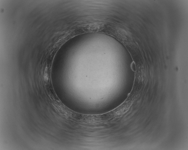 X0000067400962200603311320