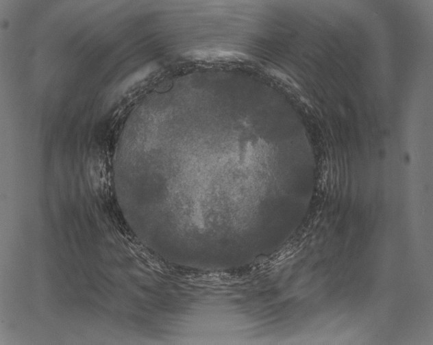 X0000067400966200603311320