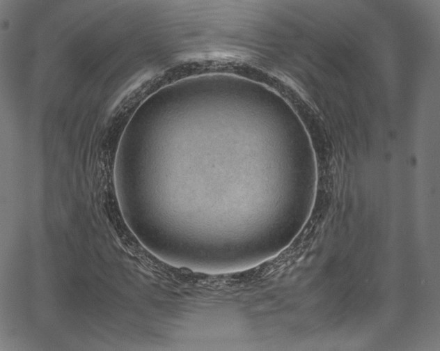 X0000067400967200603311320