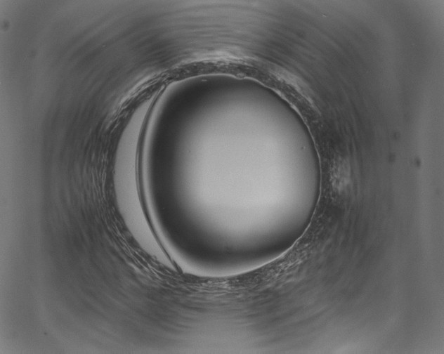 X0000067400968200603311320