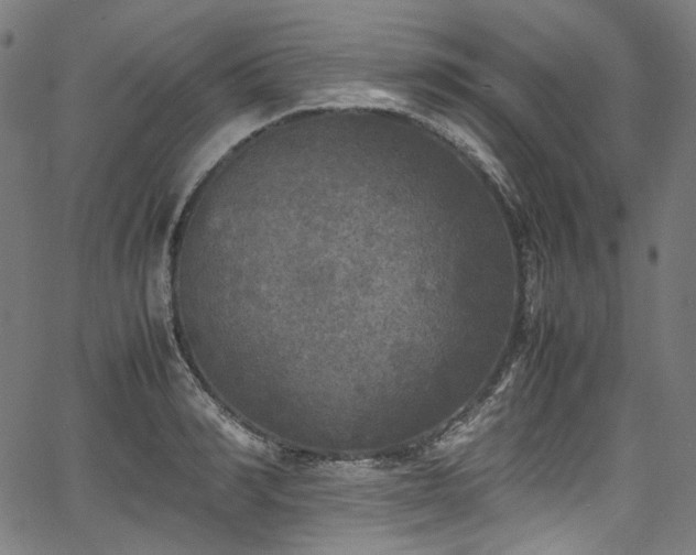 X0000067400990200603311319