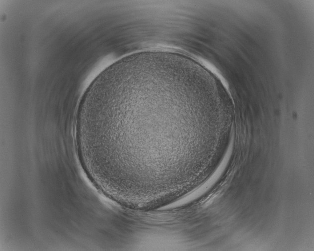 X0000067401007200603311319