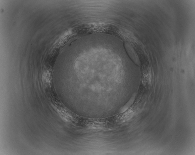 X0000067401010200603311318