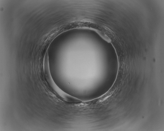 X0000067401014200603311318