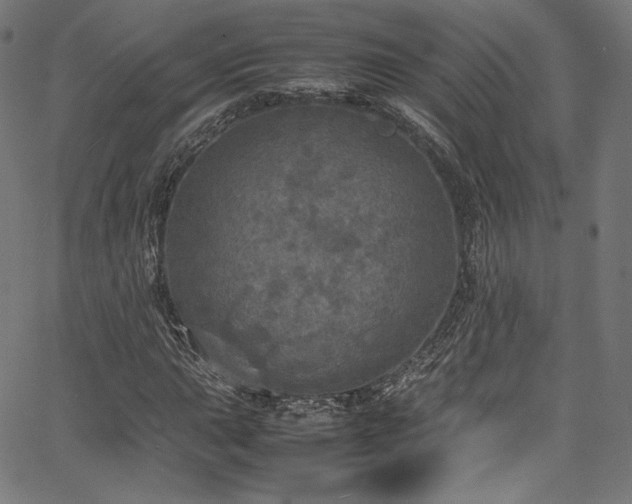 X0000067401015200603311318