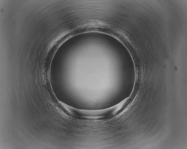 X0000067401018200603311318