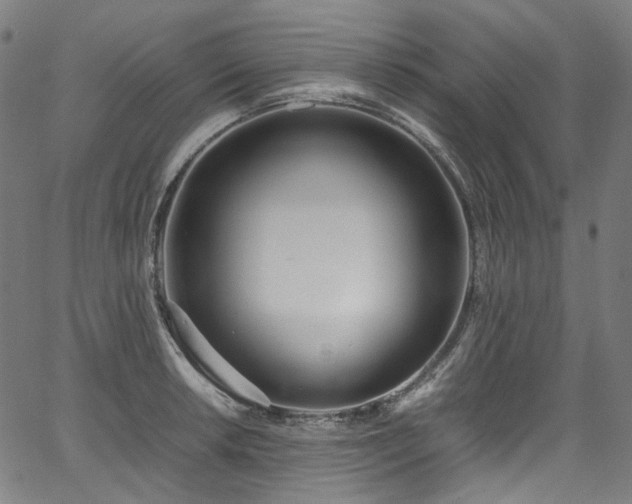 X0000067401042200603311319