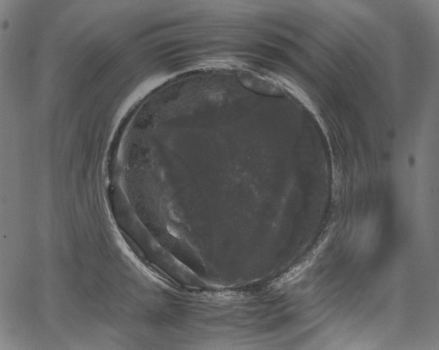 X0000067401045200603311319