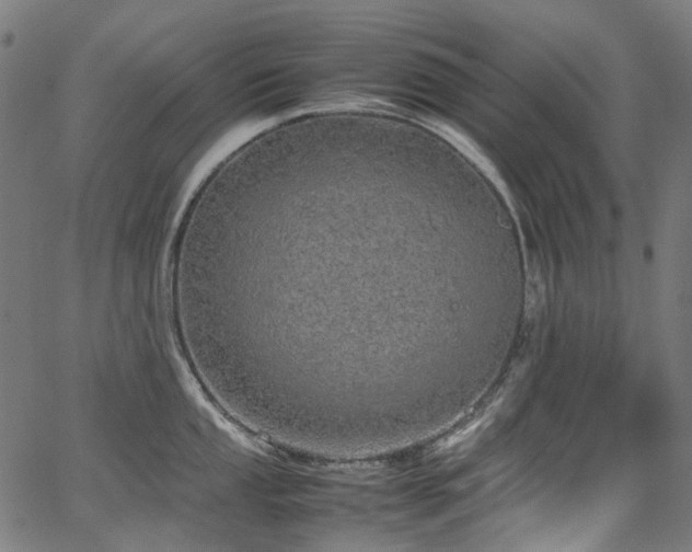 X0000067401053200603311319