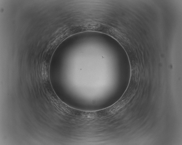 X0000067401058200603311318