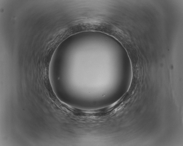 X0000067401061200603311318