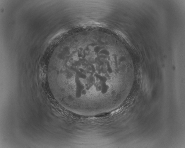 X0000067401063200603311318