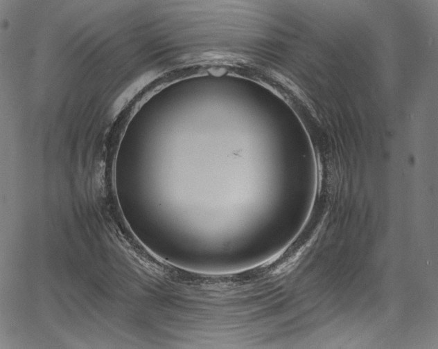 X0000067401066200603311318
