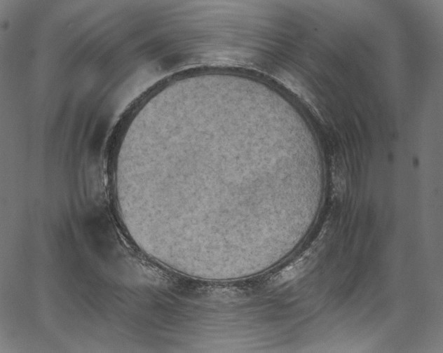 X0000067401070200603311318