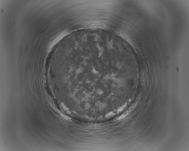 X0000067401071200603311318