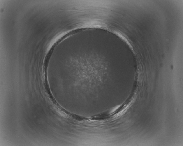 X0000067401077200603311318