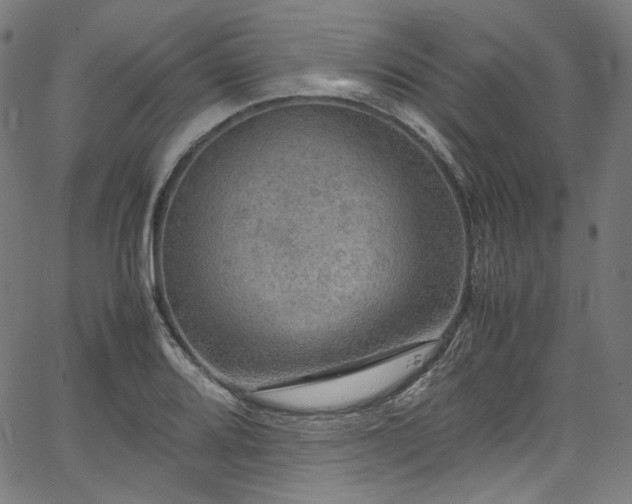 X0000067401080200603311318