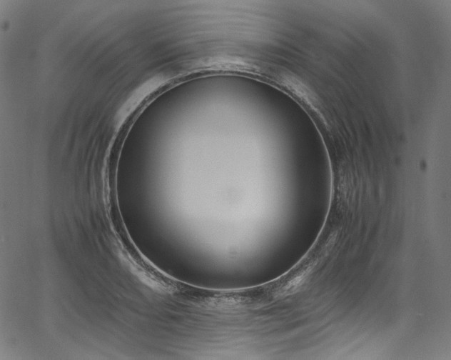 X0000067401082200603311318