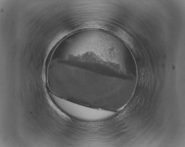 X0000067401084200603311318