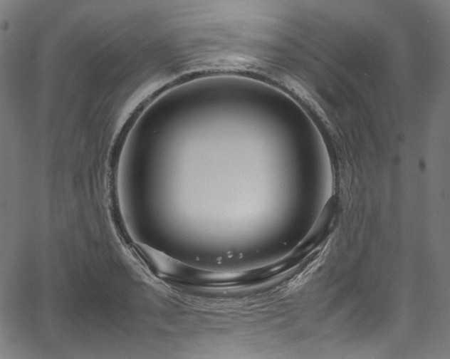 X0000067401085200603311318