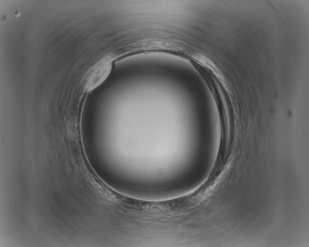 X0000067401089200603311318