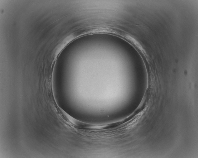 X0000067401097200603311318
