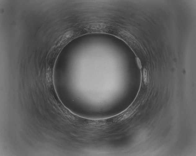 X0000067401107200603311317