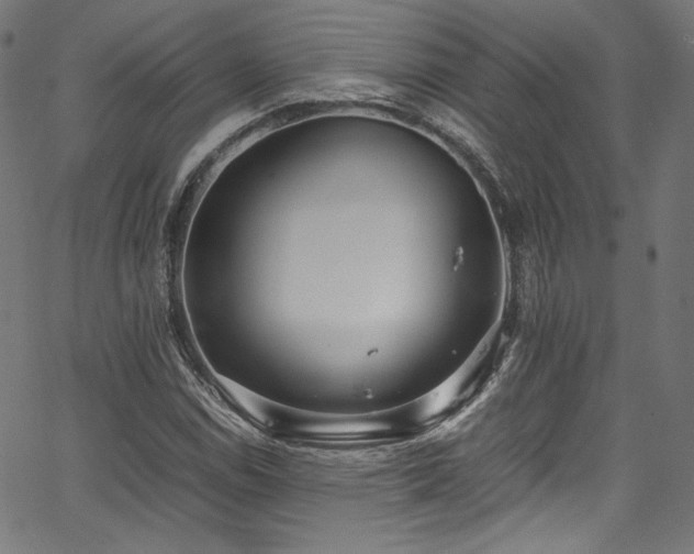 X0000067401114200603311317