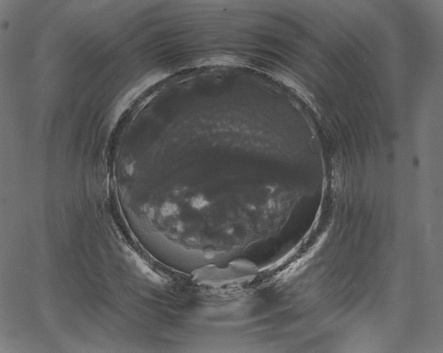 X0000067401117200603311317
