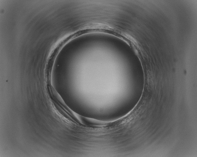 X0000067401120200603311317