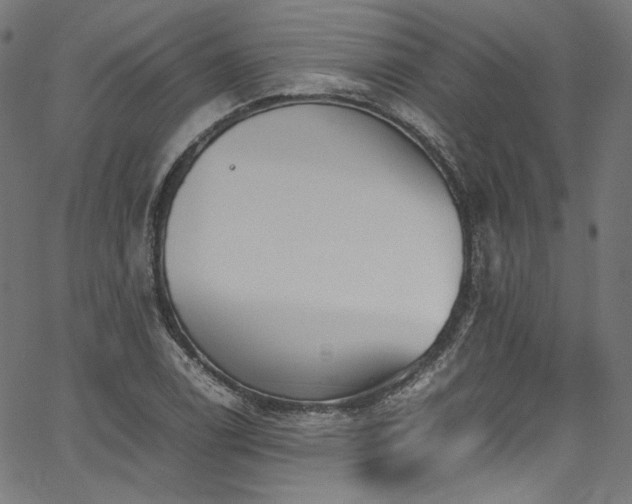X0000067401122200603311317