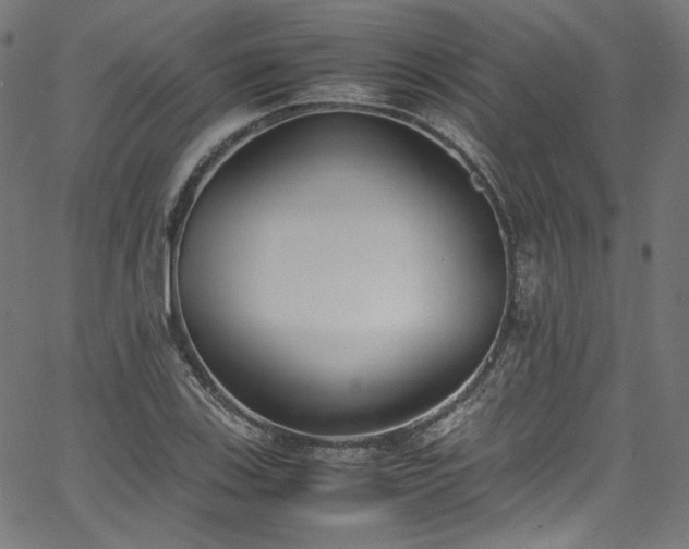 X0000067401123200603311317