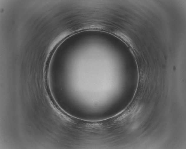 X0000067401135200603311317