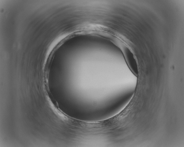 X0000067401152200603311317