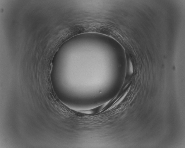 X0000067401153200603311317