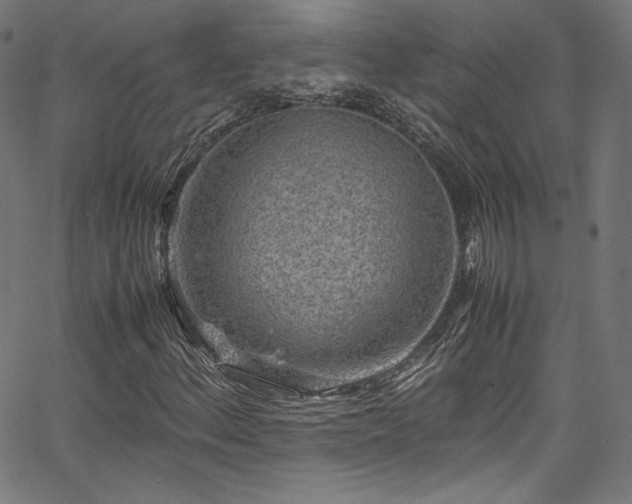 X0000067401156200603311317
