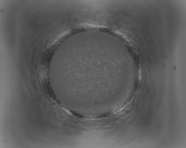 X0000067401157200603311317