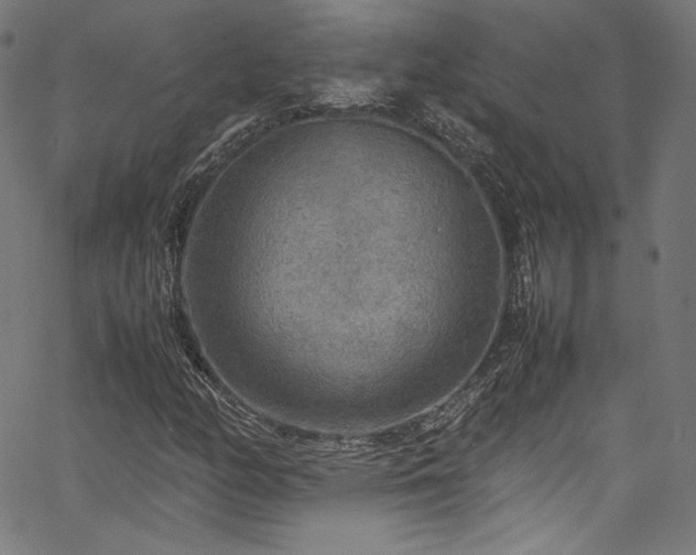 X0000067401158200603311317