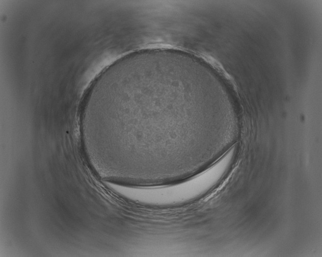 X0000067401167200603311316