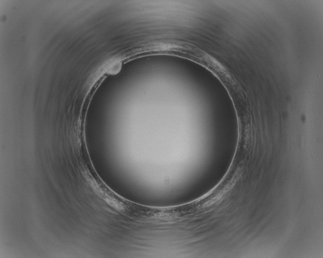 X0000067401178200603311316
