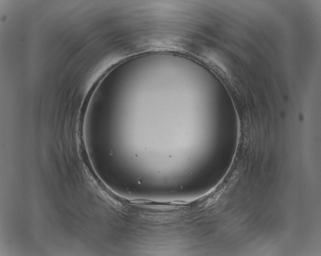 X0000067401182200603311316
