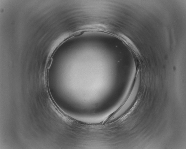 X0000067401196200603311316