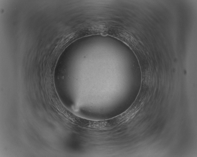 X0000067401201200603311315
