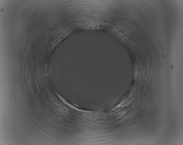 X0000067401202200603311315