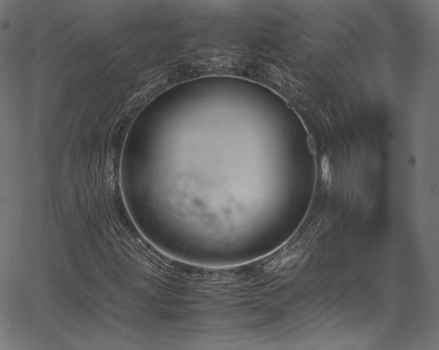 X0000067401203200603311315